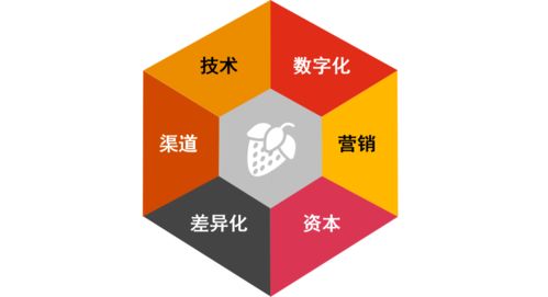 健康食品市場迎風口 物聯(lián)網(wǎng)技術(shù)助推產(chǎn)業(yè)新機遇